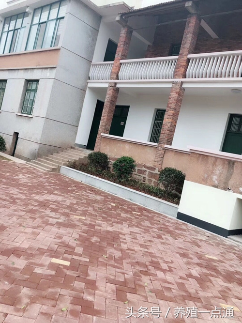 十大适合目前农村创业的项目,农民返乡创业有哪些好项目