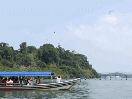 人在囧途通关攻略,人在囧途之历险