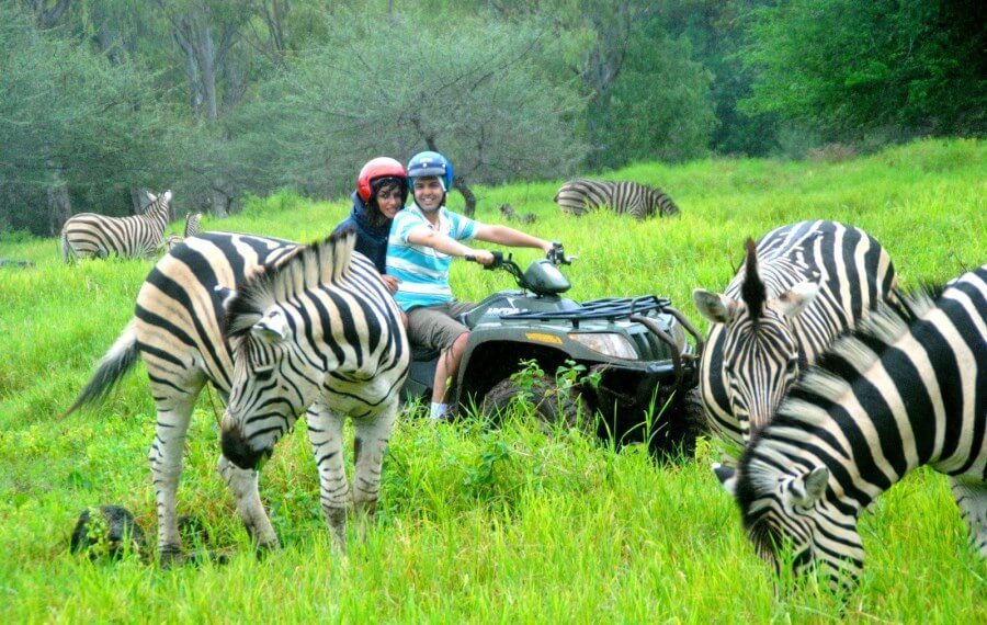 一海一世界完整视频,一海一世界一船一菩提