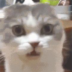 每天洗脚换袜子还是脚臭,为什么每天洗脚换袜子脚还是很臭