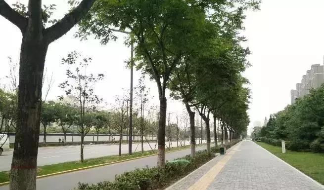 万科城润园怎么样了,万科城润园现状