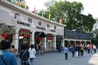 广州户外亲子游玩好去处,广州适合亲子旅游的地方