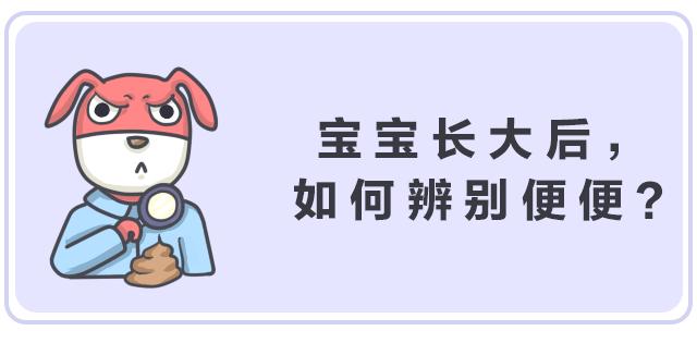 关于便便你不知道的知识,有关便便的知识