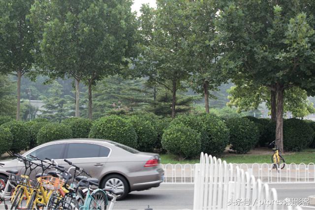 摄影后期六大剪裁技巧,摄影后期排版技巧图片