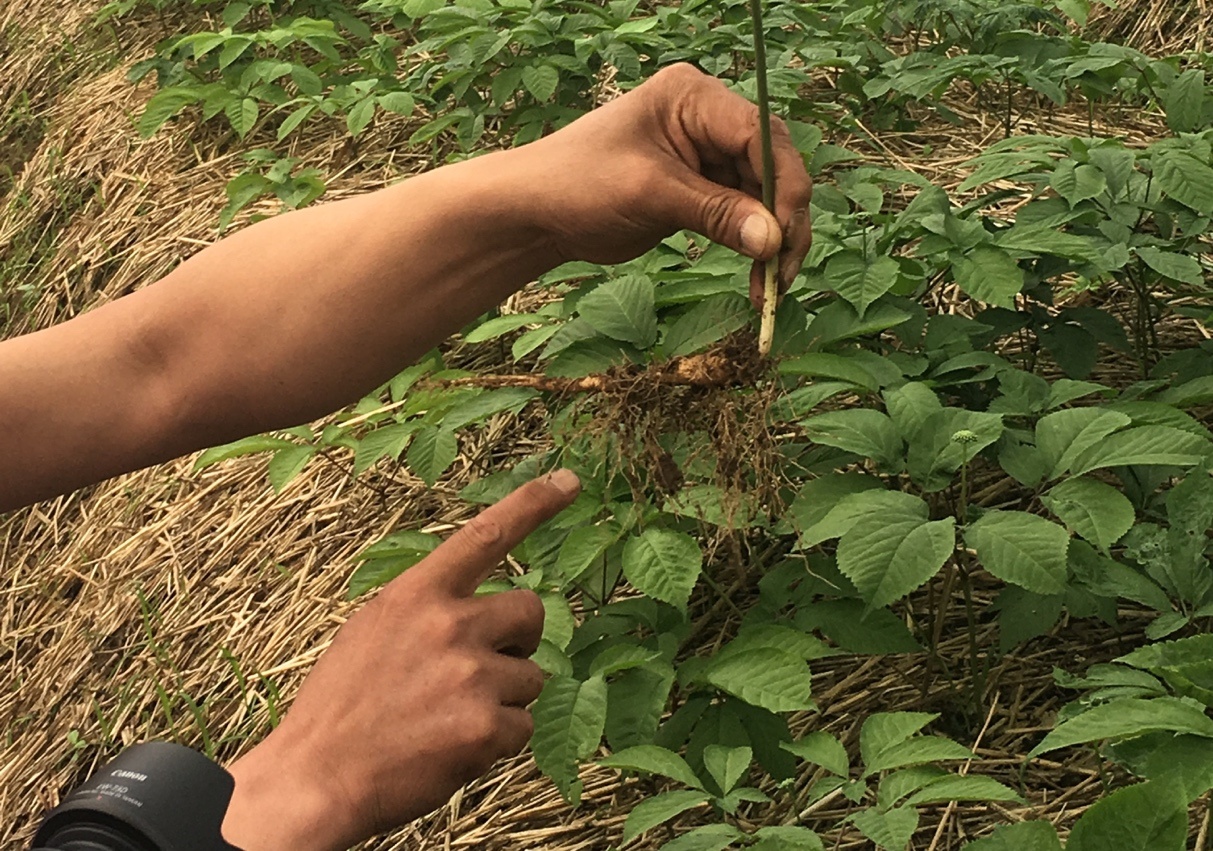隐形富豪致富之路,隐形富豪如何成功致富