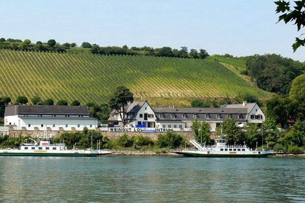 德国的初级葡萄酒怎么样,德国黑皮诺干红葡萄酒