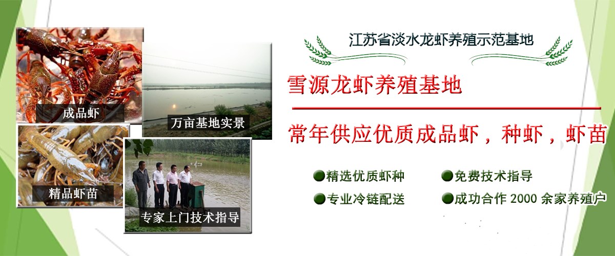 小龙虾怎么搭配菜,小龙虾怎么搭配好看