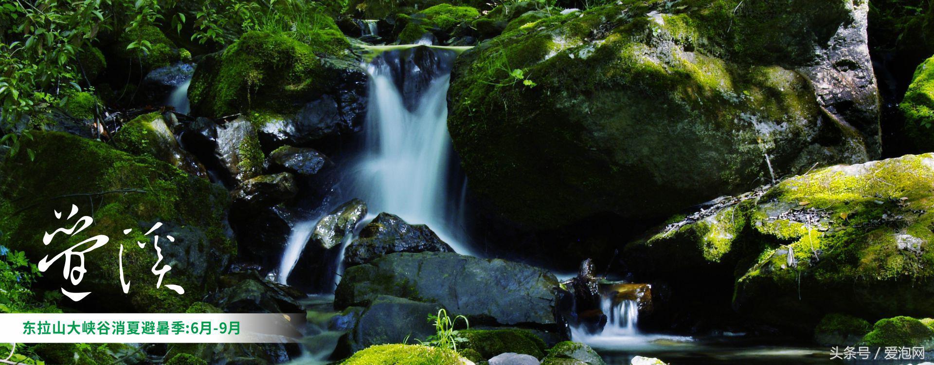雅安川西竹海必去的三个地方,雅安东拉山大峡谷游记