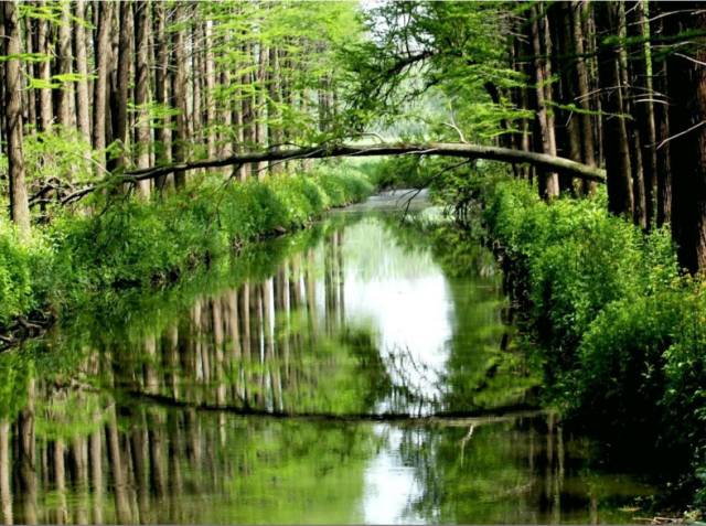 泰州红色旅游景点推荐,泰州旅游景点推荐自驾游