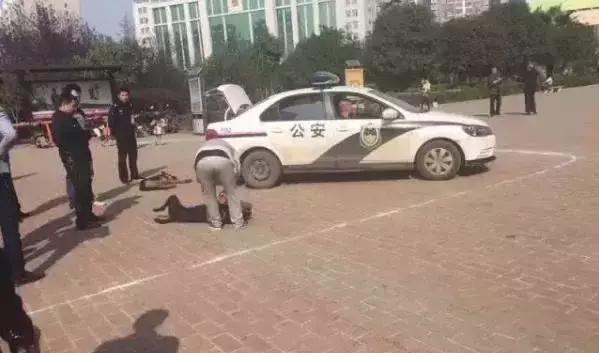 孩子被狗紧咬不放,怎样才能最快摆脱?很多人不知道!