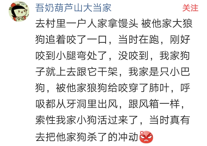 被骂小畜生怎么回怼,被家里人骂畜生