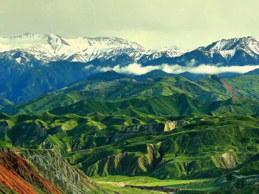 他用对葡园的爱拍出了这片人间仙境