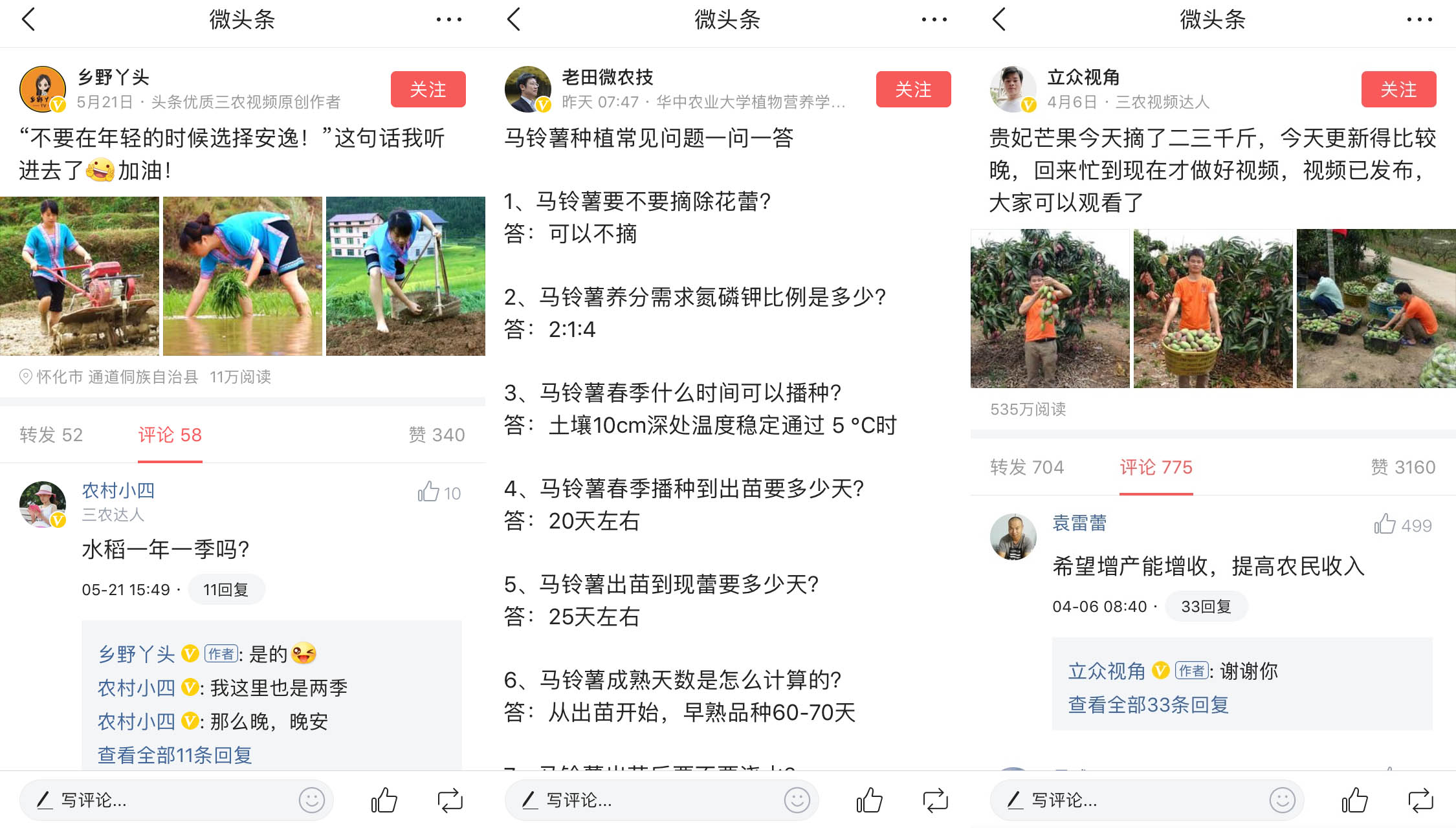 *今条头日**微头条推出“优享计划”，重金激励三农等优质内容