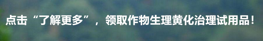 柑橘10月份还要预防锈壁虱吗,柑橘锈壁虱防治最新农药有哪些