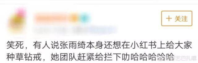 比张雨绮安利的包性价比更高!全在这里了!