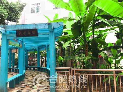 走近身边的好学校,走进身边好学校