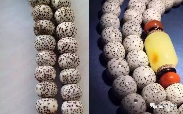 星月菩提干手盘好还是汗手盘好呢,紫金鼠和星月菩提哪个更值得盘玩