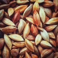 菲律宾特产有哪些值得买,菲律宾特产能带回中国吗