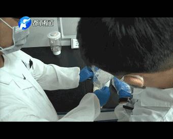 不可思议的食物有哪些,不可思议的吃水果习惯