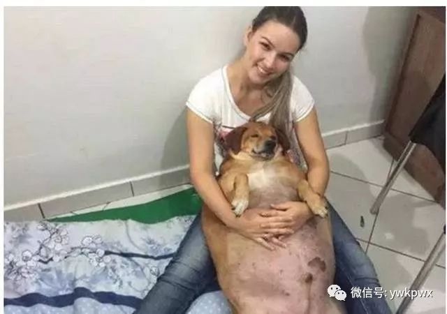 吃垃圾食品,垃圾食品吃多了嘴巴会烂吗