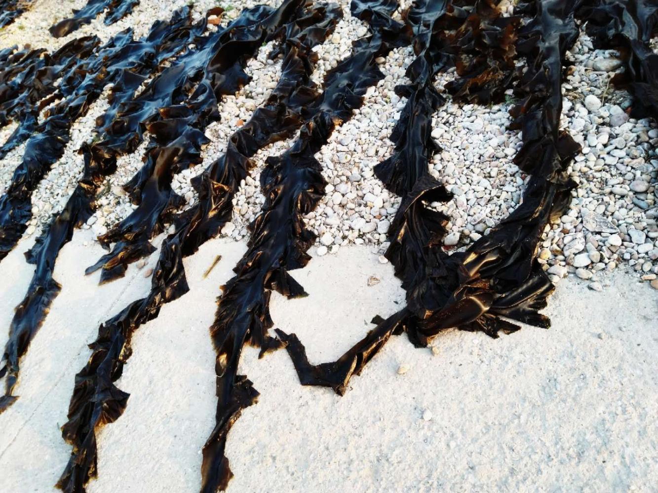 小渔岛旅游推荐,山东小县城旅游攻略