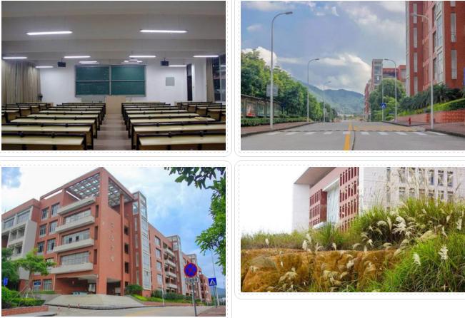 广东专科院校,广东专科院校有什么专业