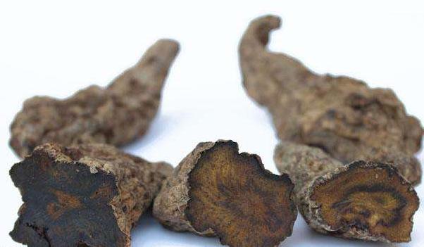 十大补肾名药材有哪些,十大最好的补肾中药