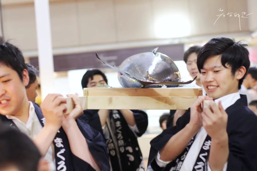 日本的这个地方，很少有中国游客，超级文艺治愈系！