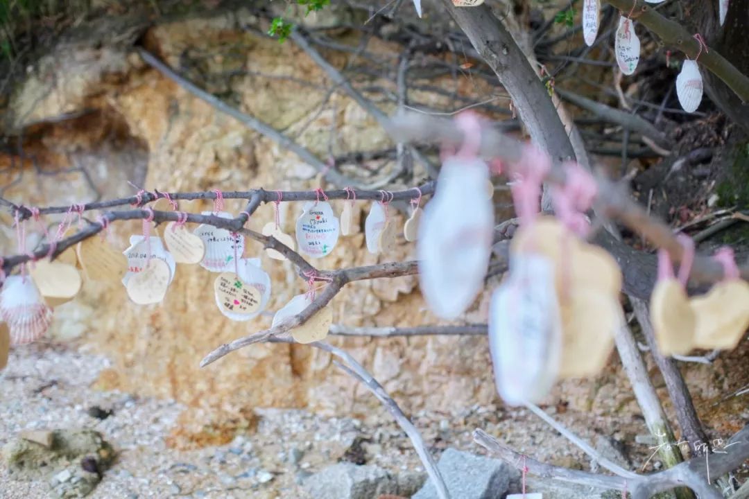 五天四晚适合去哪玩,适合五天四夜清静的旅行