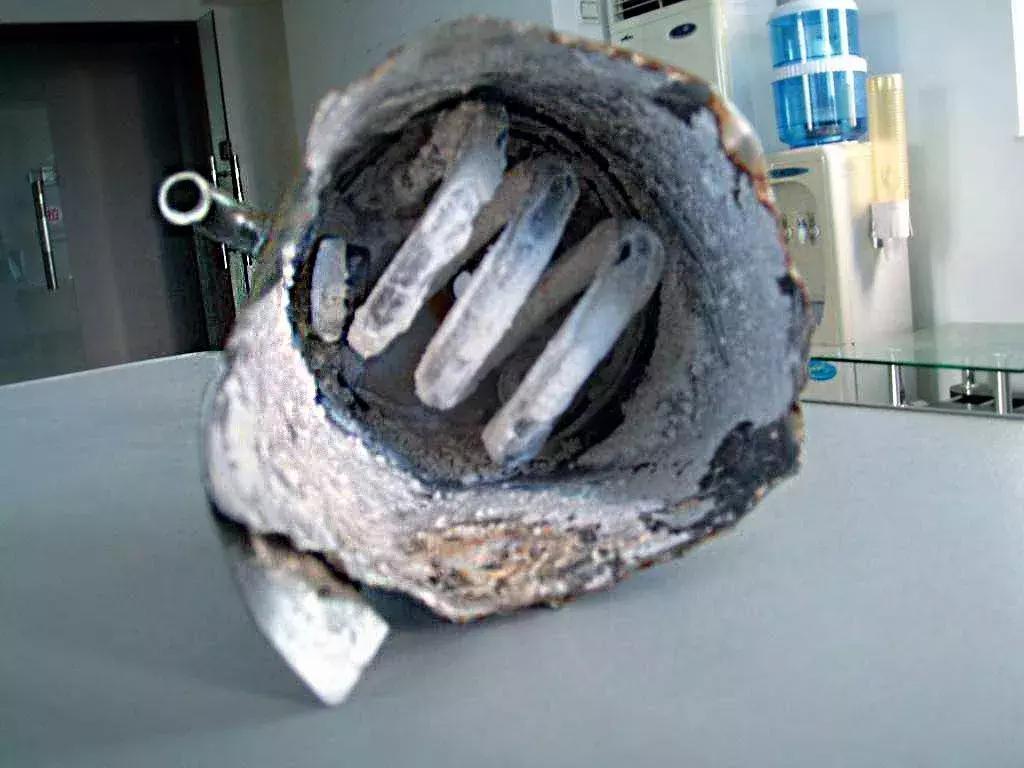 饮水机用的时间长了有脏东西,饮水机一打开就很多小蟑螂