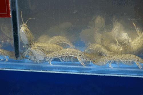 烟台记忆中的味道美食打卡,发现美味的旅程