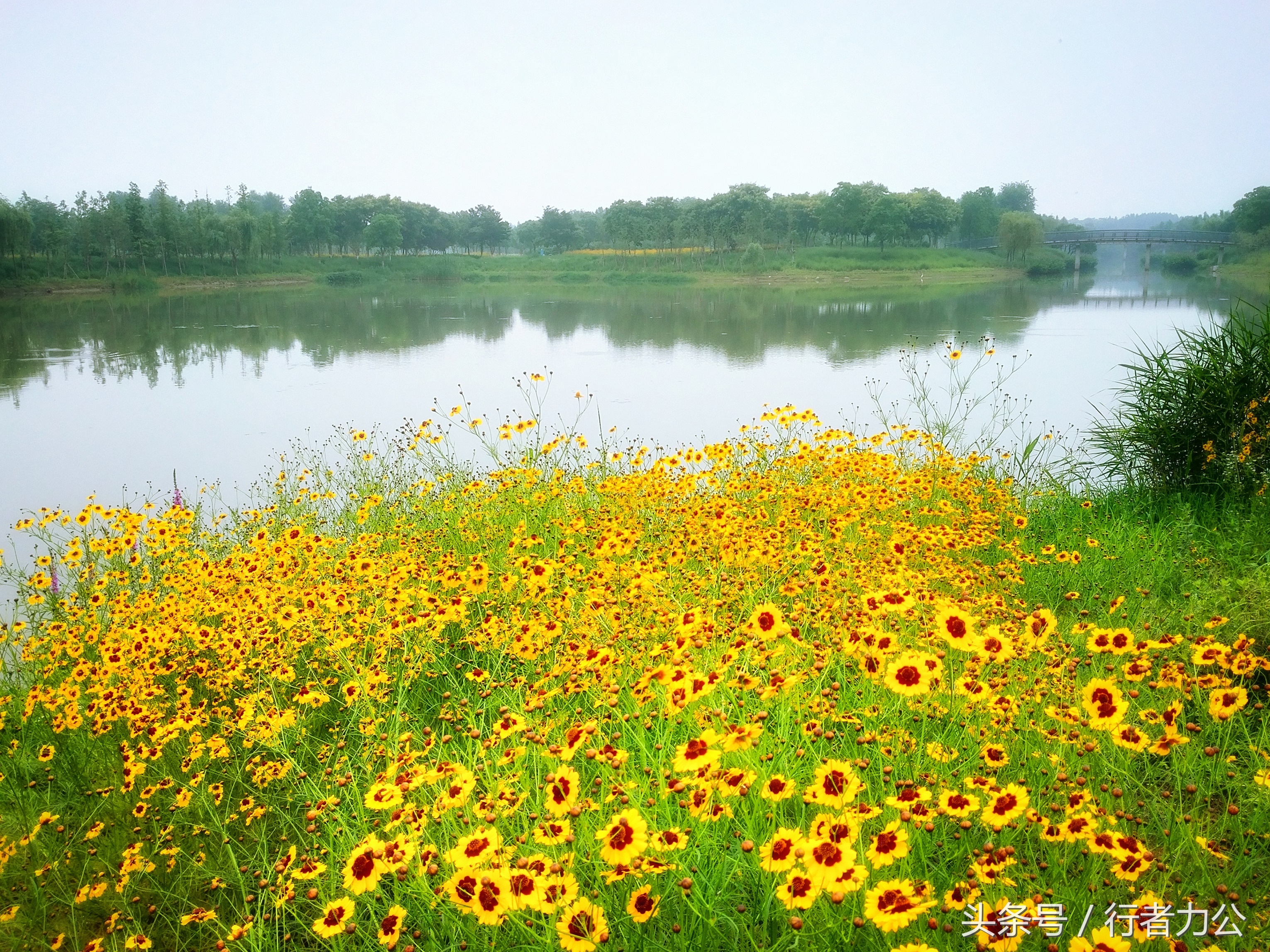 尚贤河湿地公园攻略,尚贤河湿地景点