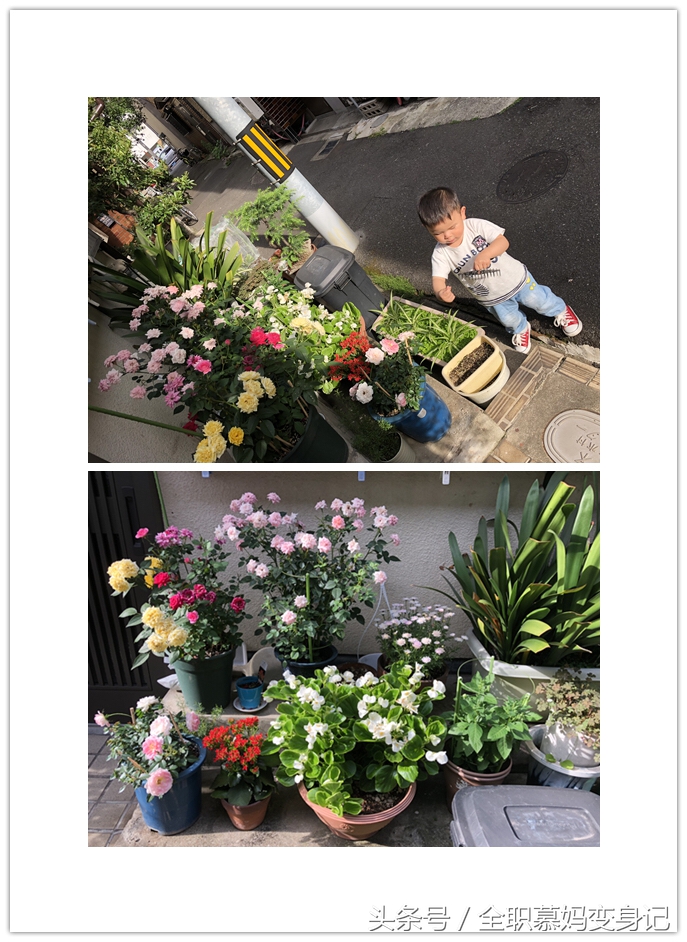 七天日本亲子游怎么玩 (亲子游日本攻略)