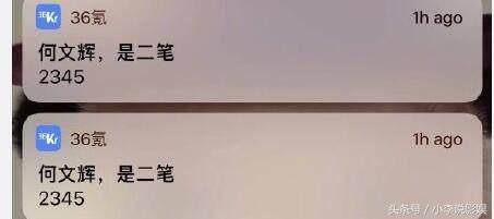 何文辉人物简介,何文辉到底是谁