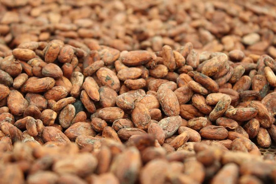 伦敦手工制作,带你看巧克力制作全过程