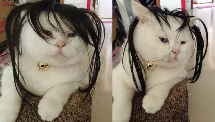 洗护专场|不做大“汗”族,香气十足清爽度一夏!