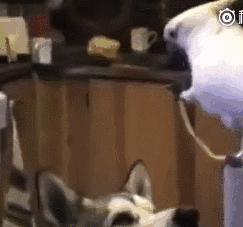 安慰自己不生气的诗,关于不要生气的诗