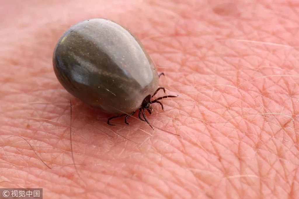 古人回复别来无恙,古人别来无恙怎么回复