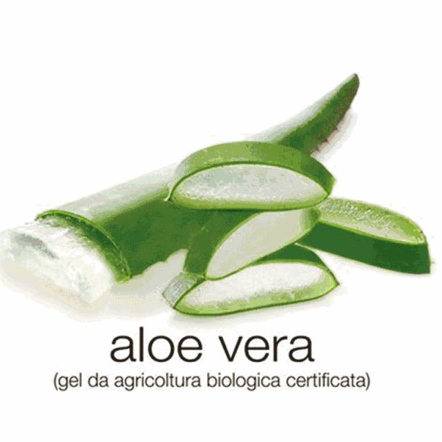 效果不输香缇卡的小众澳洲品牌Minimal