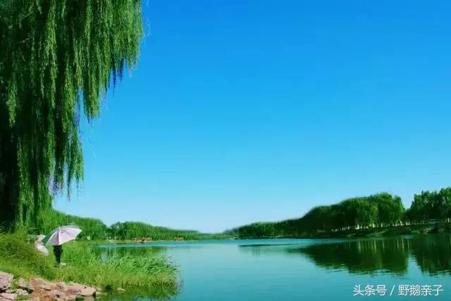 下面这几个烧烤圣地都禁止了(续),只有一个可以