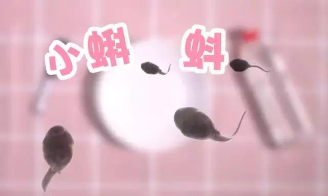 科学小实验小蝌蚪变青蛙的全过程,实验小蝌蚪从水里漂起来