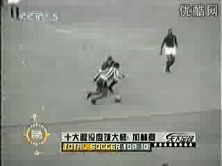 足球最伟大的十大进球,足球最伟大的十大球员