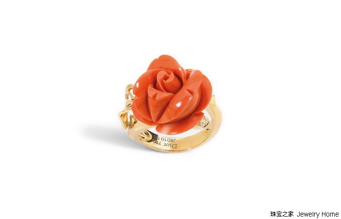 红珊瑚的魅力有多大,红珊瑚的魅力有多强