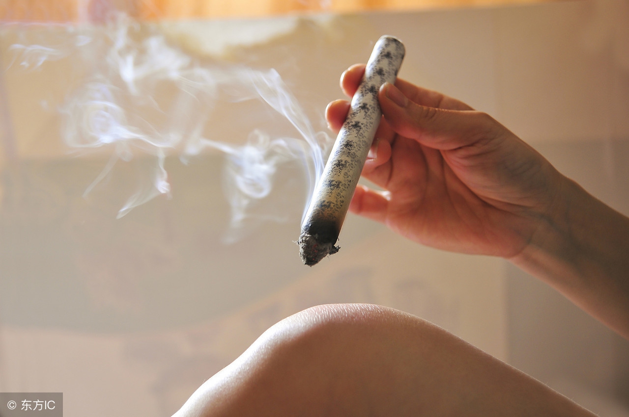 艾叶的好处与禁忌,艾叶的好处你了解多少