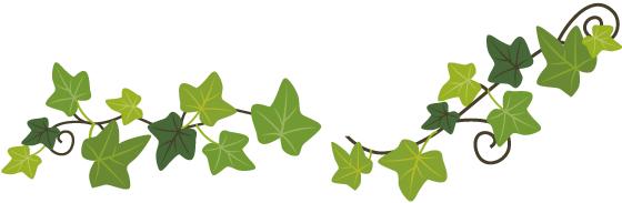 以案释法警惕美女诈骗又有新套路,买假货如何定性