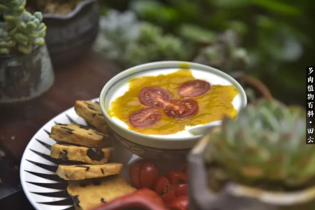 推开世界的门和自己和解,推开世界的门你所看到的风景