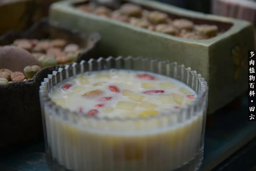 推开世界的门和自己和解,推开世界的门你所看到的风景