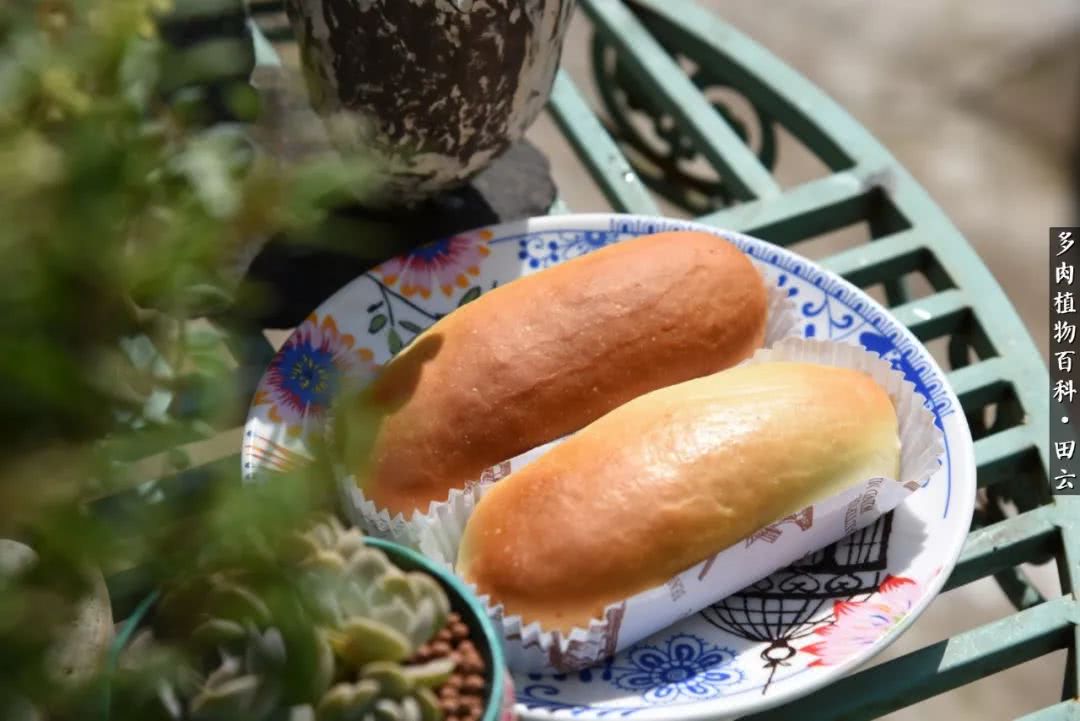 推开世界的门和自己和解,推开世界的门你所看到的风景