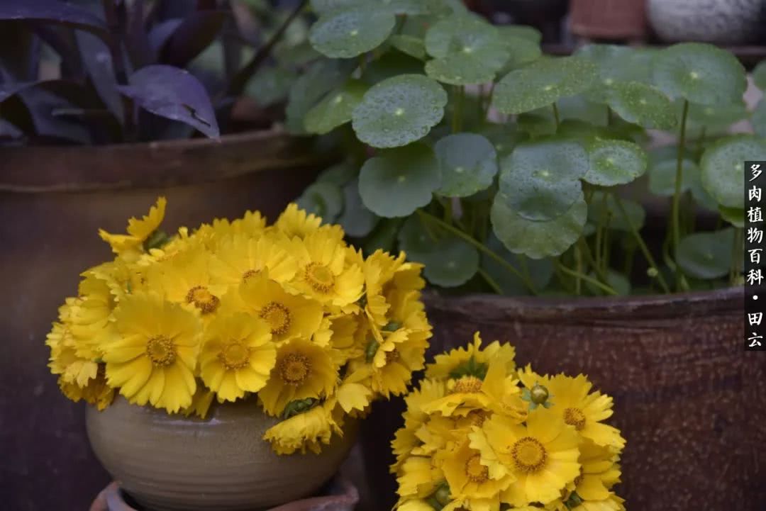 推开世界的门和自己和解,推开世界的门你所看到的风景