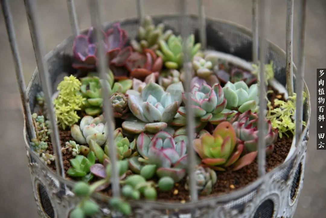 推开世界的门和自己和解,推开世界的门你所看到的风景